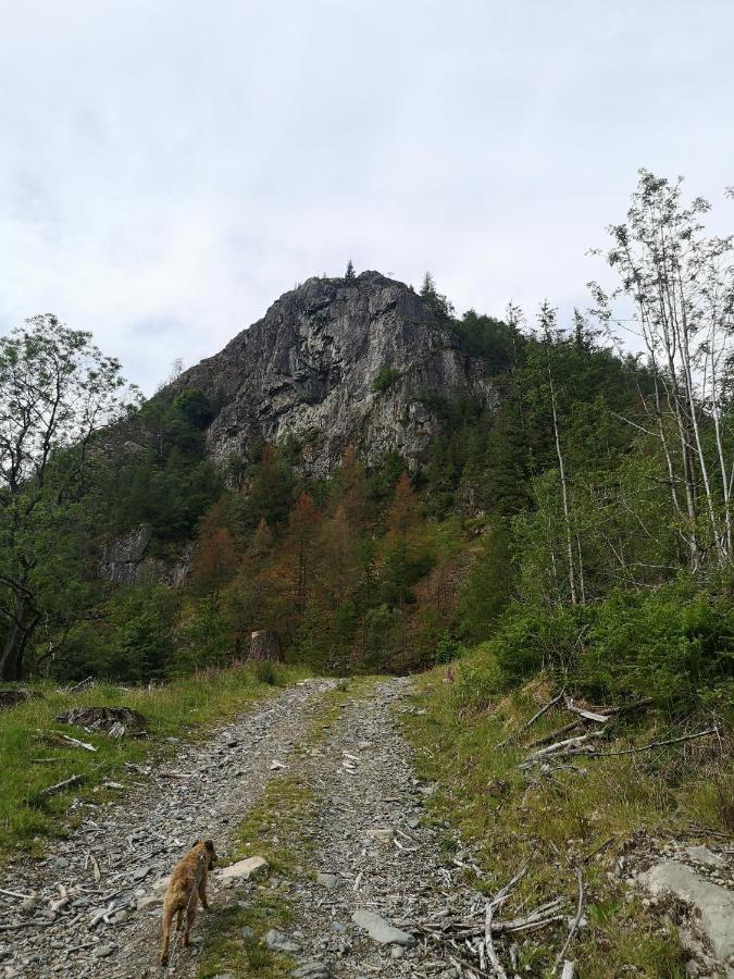 Вилла Stybeck Farm Thirlmere Экстерьер фото