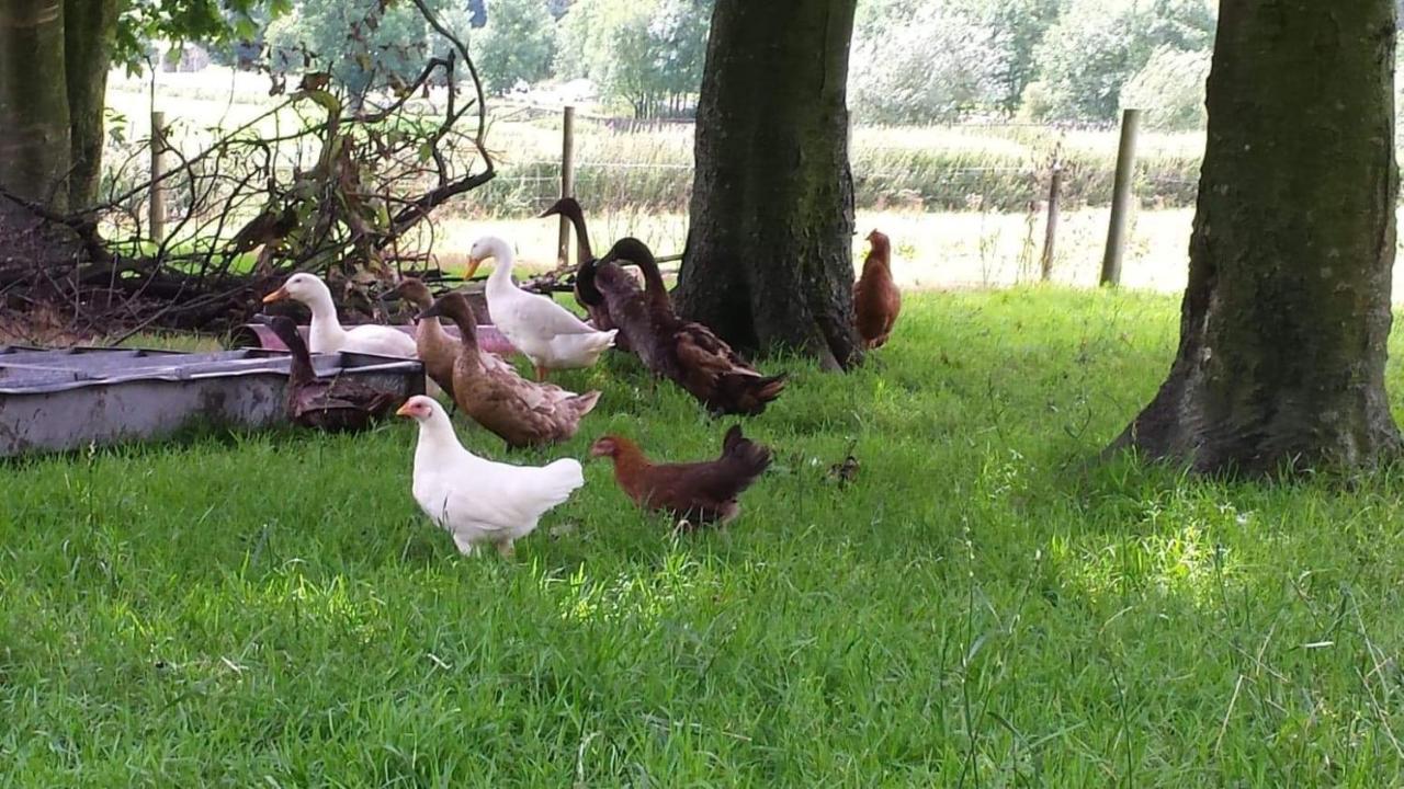 Вилла Stybeck Farm Thirlmere Экстерьер фото